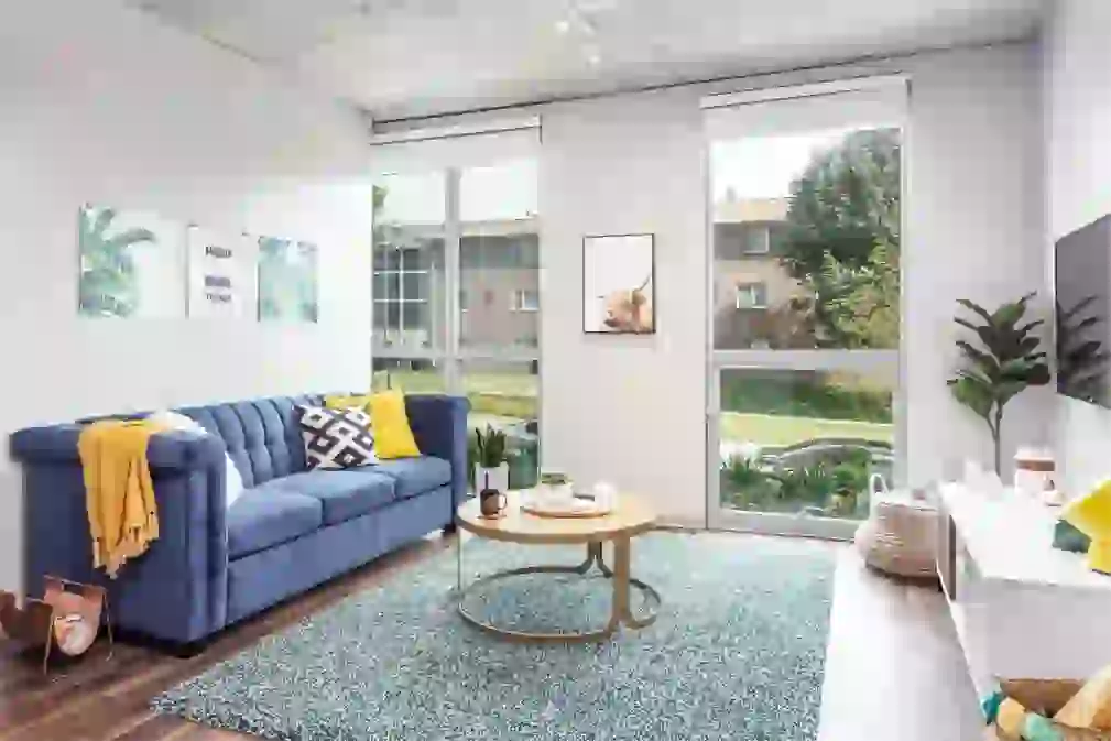 Smart TV in living room