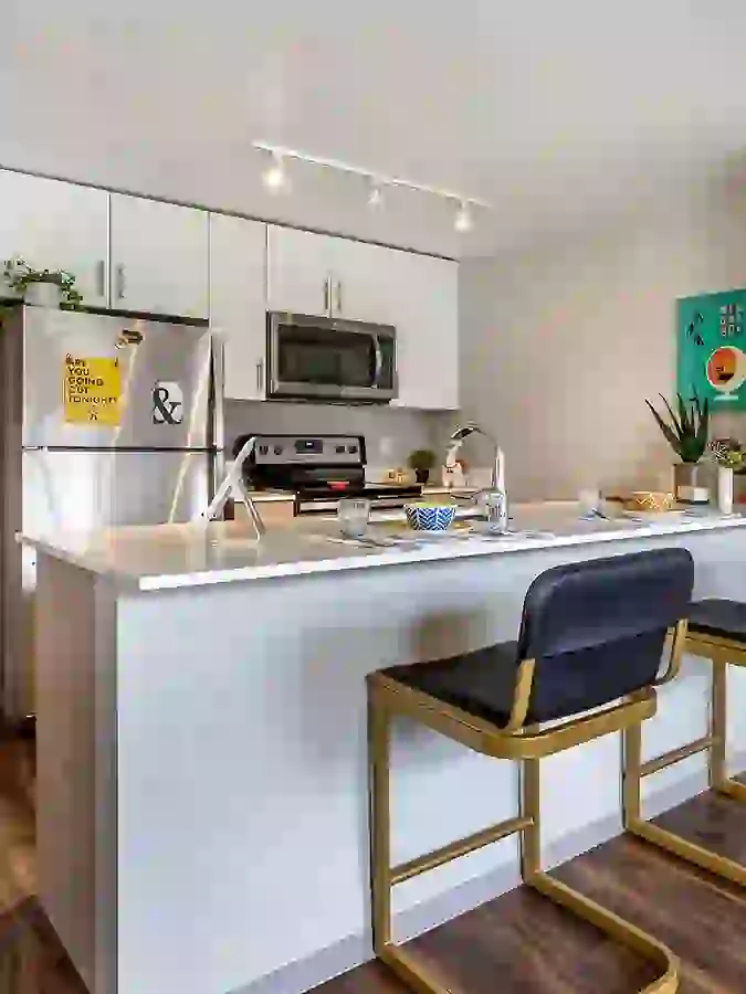 Modern student apartment kitchens with premium appliances